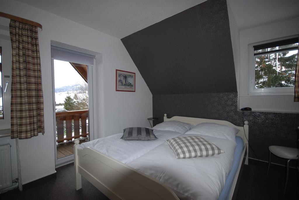 Pension Haus Am Hirschsprung Willingen  Εξωτερικό φωτογραφία