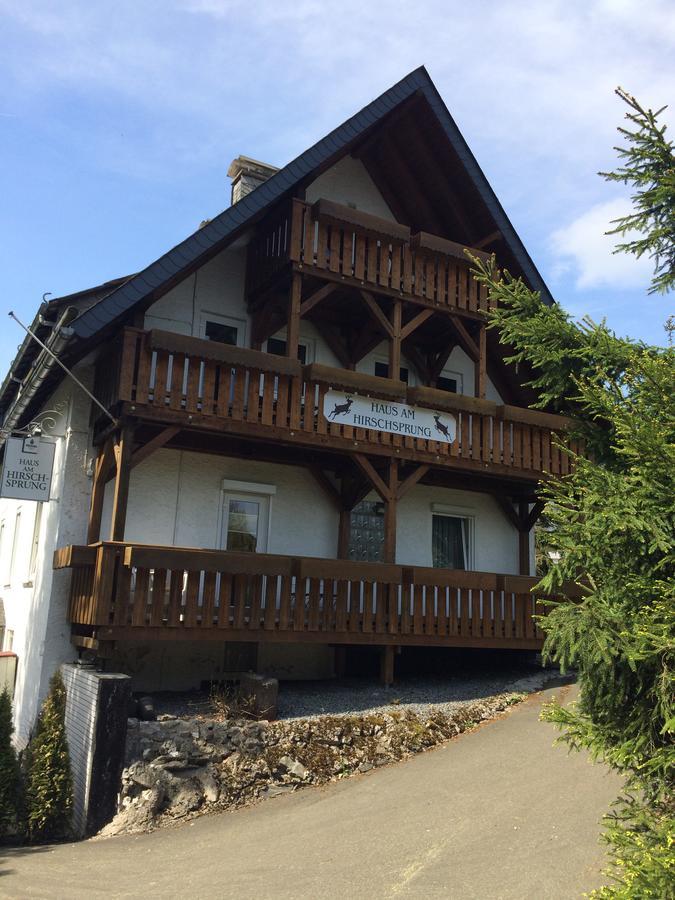 Pension Haus Am Hirschsprung Willingen  Εξωτερικό φωτογραφία